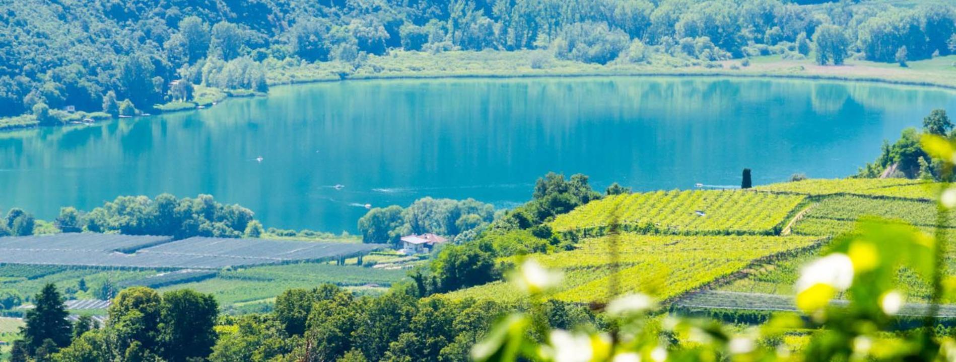 Appartamento Haus Pobitzer Caldaro Esterno foto
